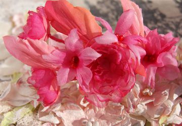 Браслет Вишневая Роза