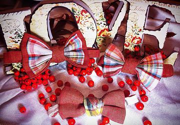 Галстуки-бабочки