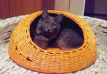 Домик для кошки