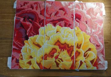 Желто-красные Пионы