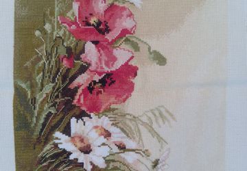 Маки полевые