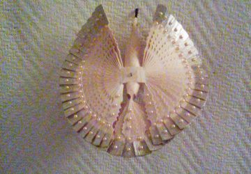 Птица с золотым оперением.