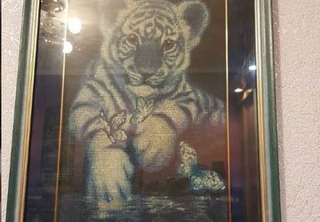 Голубой тигренок