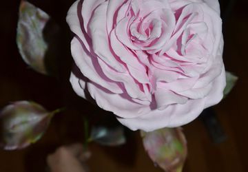 Роза из фоамирана"Валентинка"