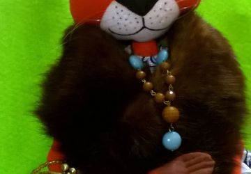 Кошка Мадлен