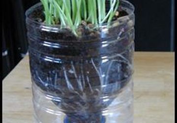 Контейнеры для рассады самоувлажняемые.