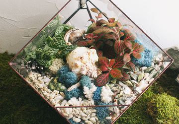 НОЧНИК LIVING OCEAN COLOUR