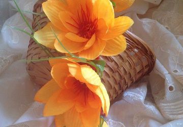 ОБОДКИ И БРОШИ