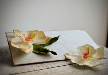 Авторская открытка с орхидеей фаленопсис.