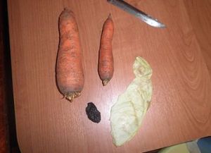 Поделки из моркови своими руками 8