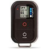 GoPro Wi-Fi Remote and Battery Bundle