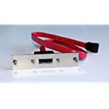 Oodelay 18" SATA Cable with Centronics (SCSI 1) Bracket - Enclosure Adapter Kit