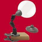 Attach-A-Mag(tm) Magnifier