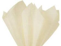 Birch Ivory Tissue Paper for Gift Wrapping 15"x20" Sheets Eco-Friendly (10 ct)