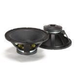 RCF L18P300 18-Inch Car and DJ Woofer