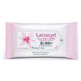 Lactacyd All Day Care Feminine Wipes Pull x 5 packs