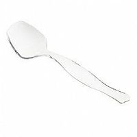 Simcha Plastic Serving Spoon Clear/Pack of 6
