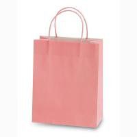 Paper Gift Bags 6ct 10.5"x12.5"x5.5" (Pastel Pink)