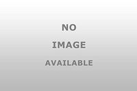 OMEGA 1291 Power Steering Pressure Line Hose Assembly