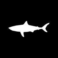 SHARK Sticker decal window vinyl car boat surf beach great white bull ocean - Die cut vinyl decal for windows, cars, trucks, tool boxes, laptops, MacBook - virtually any hard, smooth surface