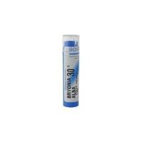 Boiron - Bryonia 30C 80 plts (Pack of 2)