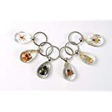 6 pieces Real Insect Key chain in acrylic