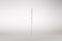 Calamus Drinking Straw