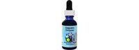 Flower Essence Services Supplement Dropper, Saguaro, 0.25 Ounce