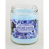 Smoke Odor Exterminator 13oz Jar Candles (Blue Serenity, 3)