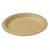 World Centric's Compostable 10" Bagasse Plate (Package of 200)
