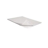 Molynlycke -Mepilex Transfer - 6x8