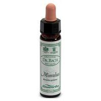 Dr Bach Mimulus Bach Flower Remedy 10ml