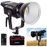 Aputure Light Storm 120D Mark ii，Aputure LS C120D II Updated Daylight 180W LED Continuous V-Mount Video Light (Light)