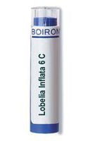 Lobelia Inflata 30C Homeopathic Medicine for Weaning Off Tobacco Cravings (80 Pellets)