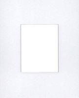 Pack of (5) 16x20 Signature Picture Mats Cut for 8x10 Pictures-Perfect for Anniversaries, Weddings and More