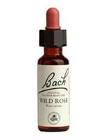 Wild Rose 20 ml ( Rosa canina ) - Bach Flower Essences