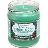 Smoke Odor Exterminator 13oz Jar Candles (Evergreen & Berries, 2)