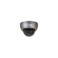 Speco Technologies HD-TVI Only 2 MP Intensifier Camera Dome Camera, Gray (HTINT591T)