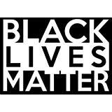 Black Lives Matter White Decal Vinyl Sticker|Cars Trucks Vans Walls Laptop| White |5.5 x 3.5 in|LLI493
