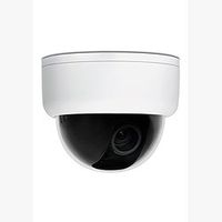 American Dynamics ADCDT0922TP Discover, mini-dome, 540 TVL, 9.0-22 mm, day/night, tint, white, PAL