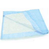 Disposable Underpad - 17" x 24" 6 bags of 40 per case - Model 566363