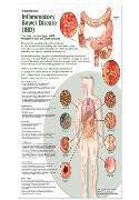 Inflammatory Bowel Syndrome Chart IBD