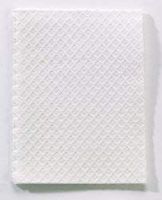 Tidi Patient Towel, 13 W X 18 L Inch White, 9810865 - Case of 500