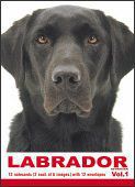 THE DOG Notecard Vol. 1 - Labrador Retriever