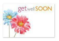 Get Well Soon Daisies Gift Note Cards with Envelopes and Gold Seal -25pack Set