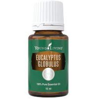 Pure Essential Oil Eucalyptus Globulus 15 ml Young Living Malaysia + Free Standard Shipping