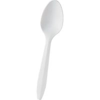 BWKBXSPOON - Full-Length Polystyrene Cutlery, Teaspoon, White
