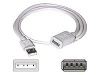 3m USB 2.0 A Male to A Female Extension Cable - White (9.8ft)