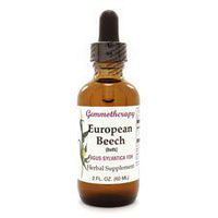 Boiron - European Beech (buds) 2oz