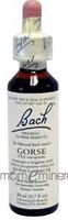 BACH GORSE, 20 ML